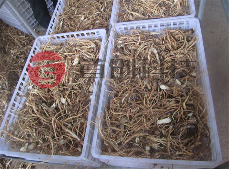 食用菌烘干機(jī)價格.png